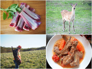 ジビエってなんのお肉？鹿肉が注目されるのはなぜ？ジビエなんでもQ＆A