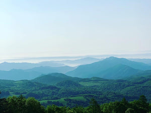 美しい海と豊かな山が育てた大槌ジビエ　おいしい鹿肉を育む岩手県大槌町ってどんな町？